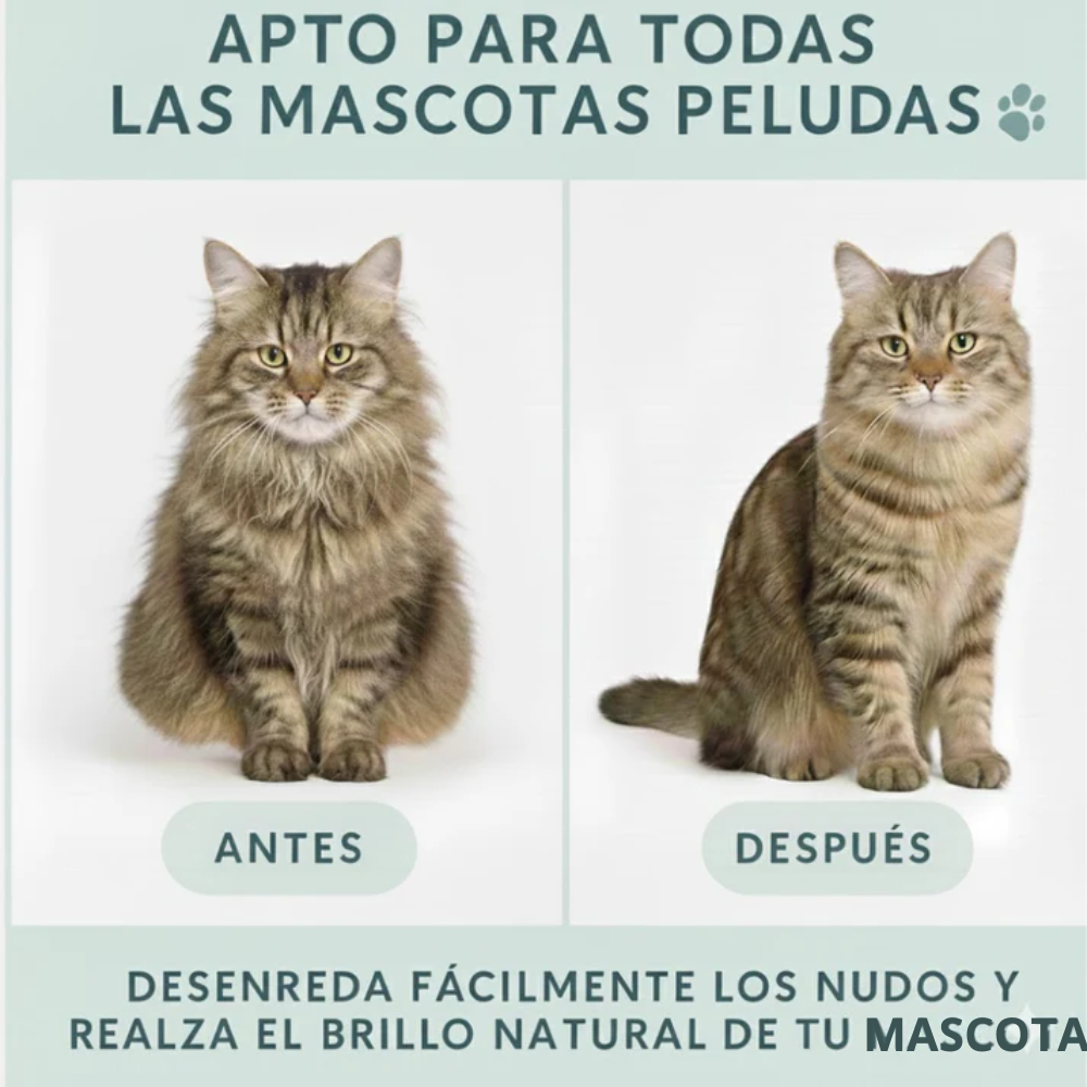 Cepillo Pulverizador 4 en 1