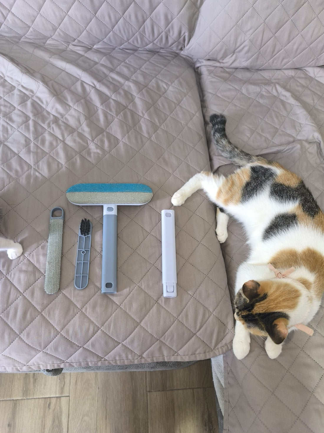 Cómo mantener tu hogar libre de pelos