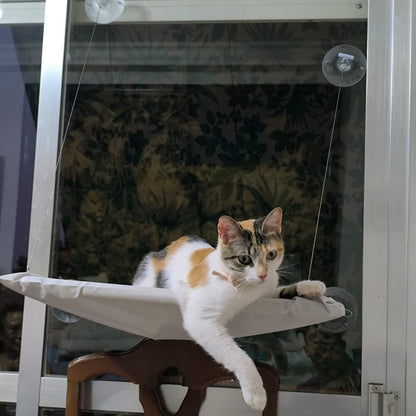 Hamaca de Ventana para Gatos – El Mirador Soleado que Tu Felino Amará