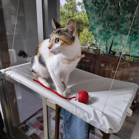 Hamaca de Ventana para Gatos – El Mirador Soleado que Tu Felino Amará