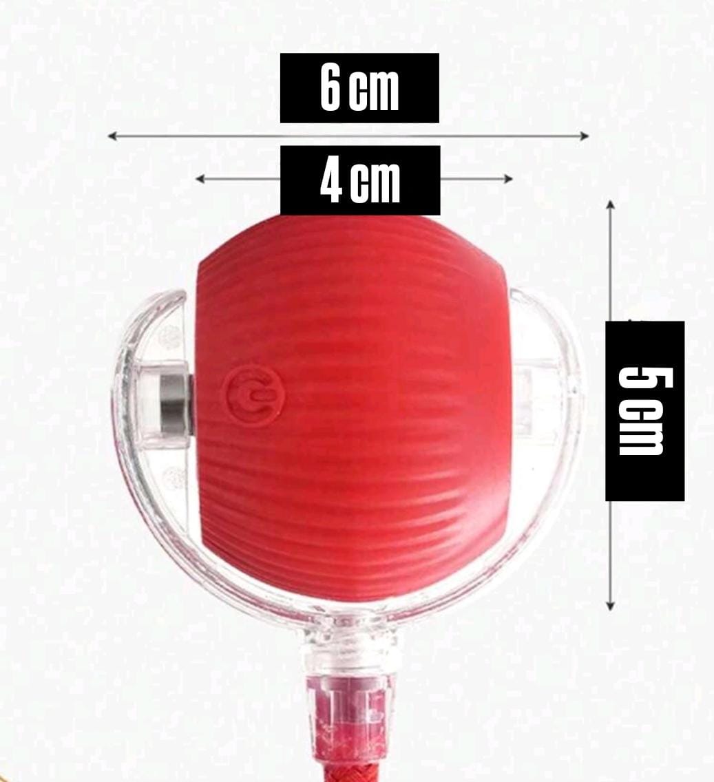 PELOTA INTERACTIVA FELINA. REFUERZA SU INSTINTO GATUNO