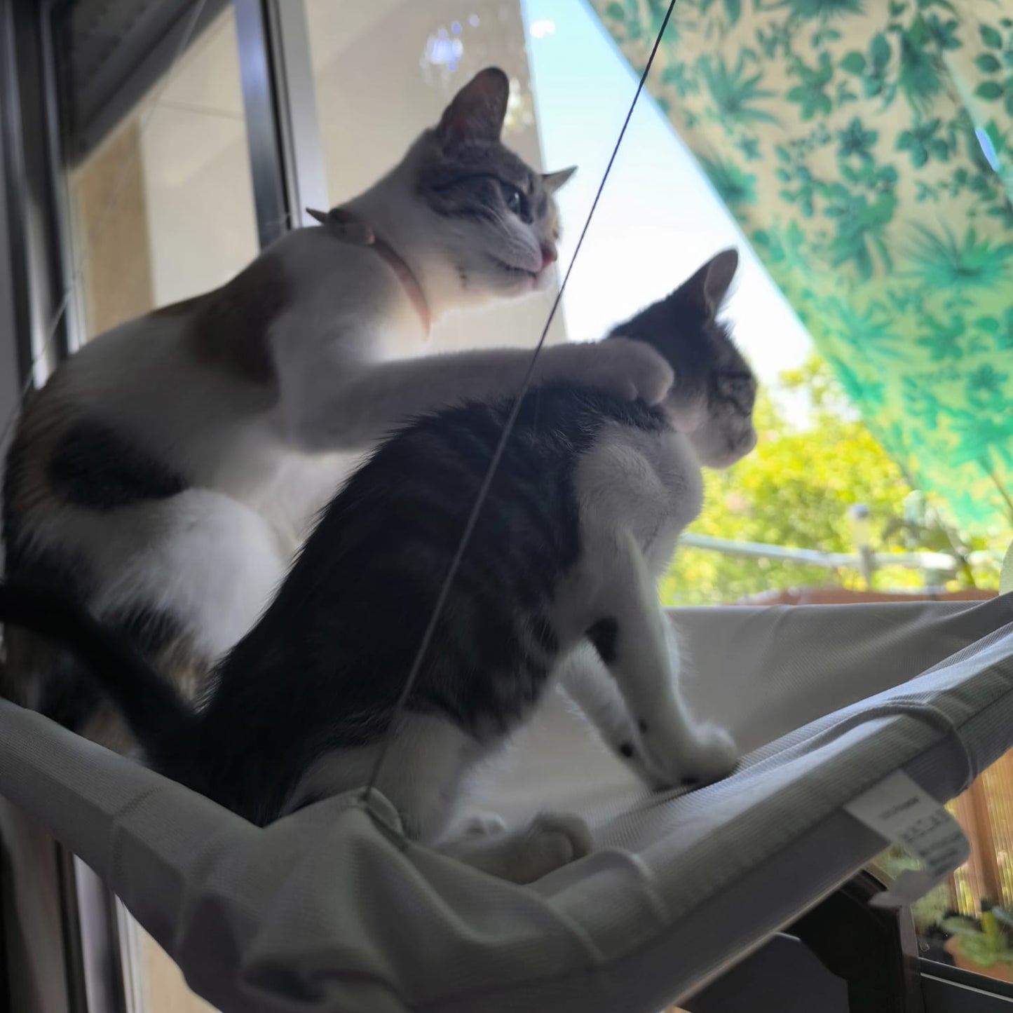 Hamaca de Ventana para Gatos – El Mirador Soleado que Tu Felino Amará
