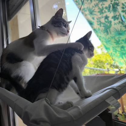 Hamaca de Ventana para Gatos – El Mirador Soleado que Tu Felino Amará