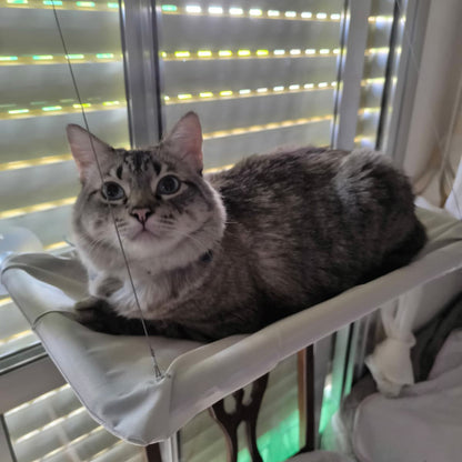 Hamaca de Ventana para Gatos – El Mirador Soleado que Tu Felino Amará