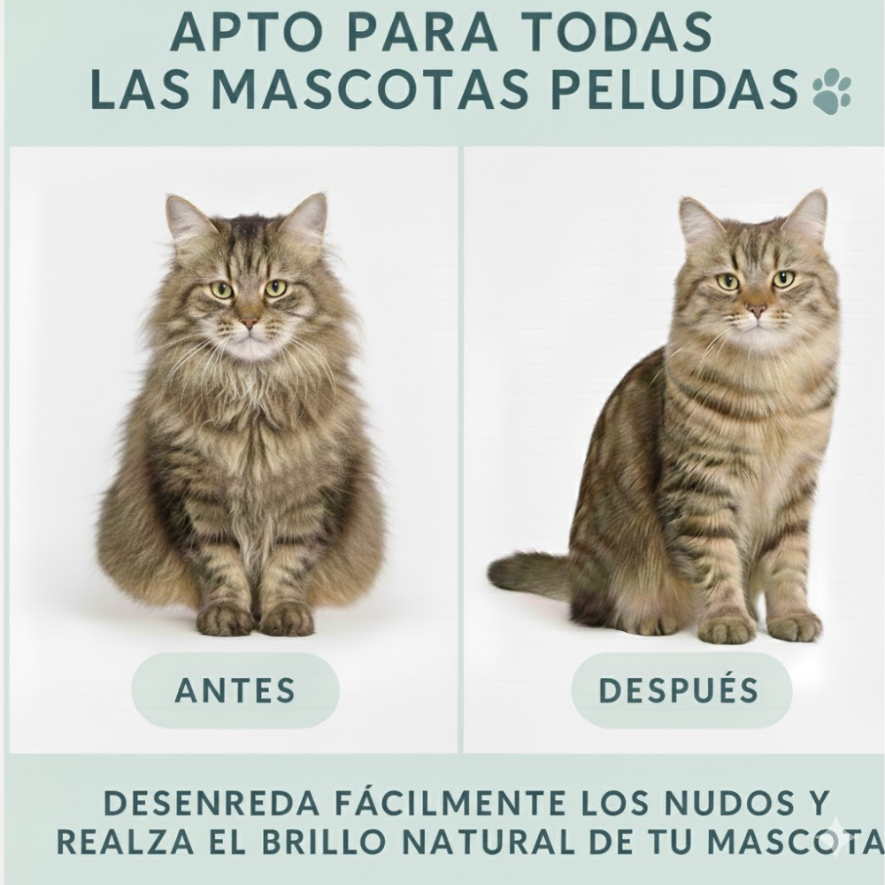 Cepillo Pulverizador 4 en 1